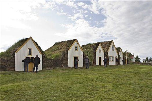 房子,农场,博物馆,北方,冰岛,大西洋