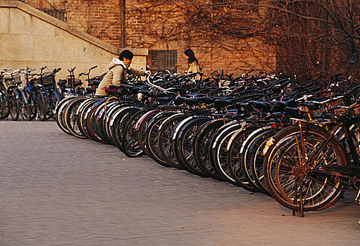 北京清华大学图书馆前自行车
