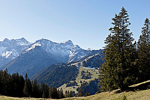 阿尔卑斯山,山谷,奥地利,欧洲