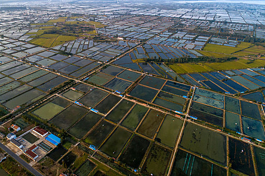 江苏洪泽湖螃蟹养殖基地