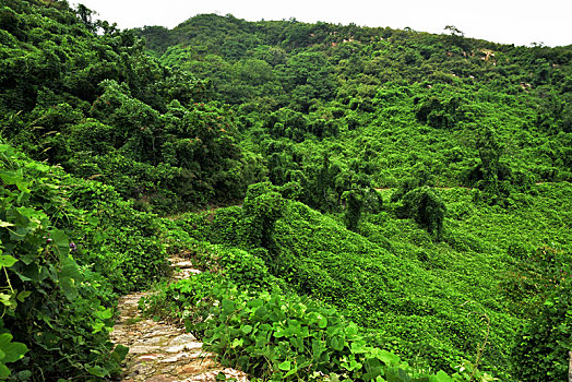 河北省石家庄平山县藤龙山风景区