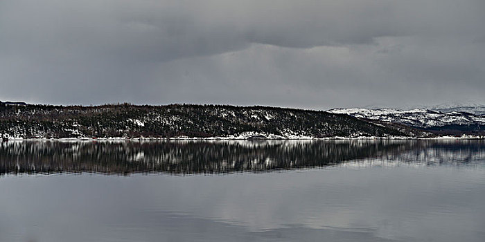 反射,山,水中,峡湾,挪威
