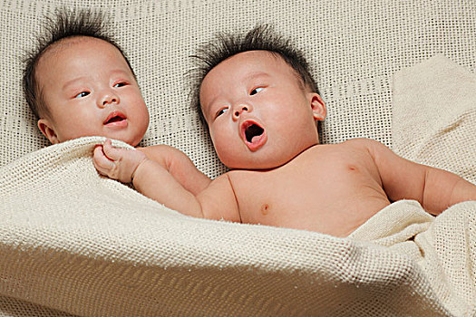 双胞胎,婴儿,包着,向上,毯子,一起