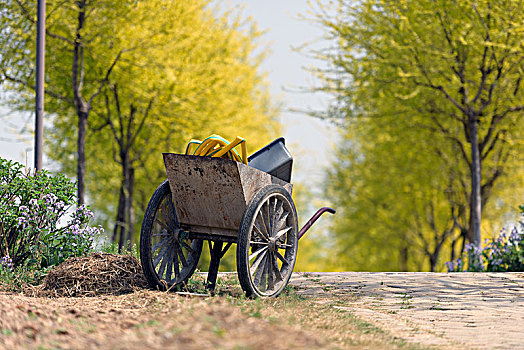 手推车,园艺,淳朴,wheelbarrow