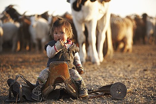 女孩,马鞍,牧群,绵羊,国家公园,蒙古