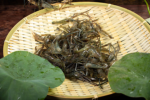 超市生鲜河虾