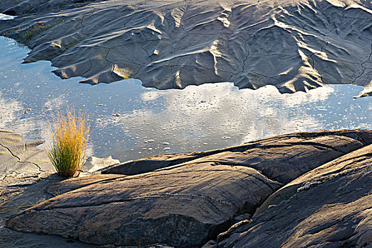 泥沙,石头,草,特纳甘湾,楚加奇州立公园,阿拉斯加,秋天