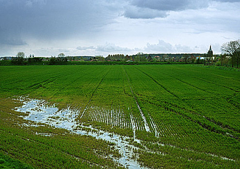 洪水,作物,地点,法国