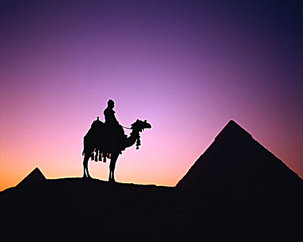 埃及,开罗,吉萨金字塔,卡夫拉,金字塔,骆驼,驾驶员,日落