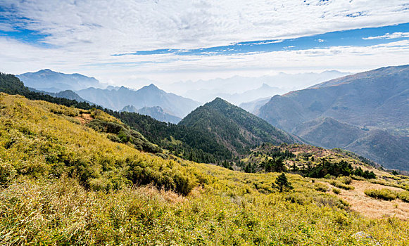 神农架高山草甸