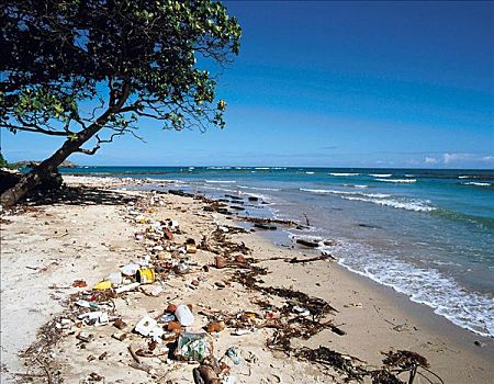 普拉塔港,长滩,垃圾,海滩,南美,多米尼加共和国