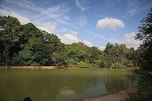 新加坡国家植物园
