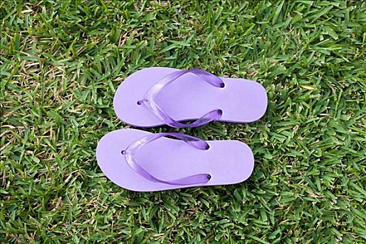 紫色,人字拖鞋