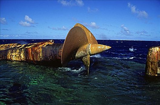 密克罗尼西亚,残骸,十二月,生存,比基尼,环礁,原子,测验,位置