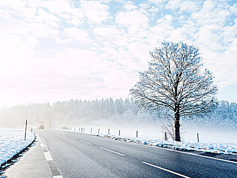 乡间小路,冬天,雾,上巴伐利亚,巴伐利亚,德国,欧洲