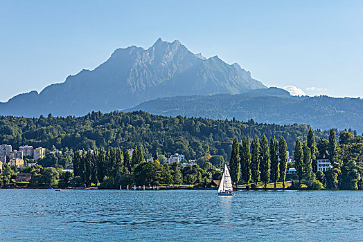 旅游,湖,琉森湖,瑞士