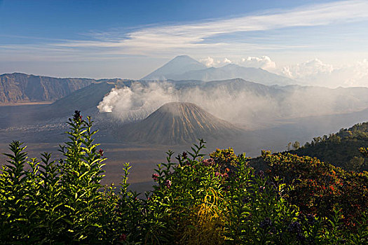 国家公园,婆罗莫,火山,爪哇,印度尼西亚