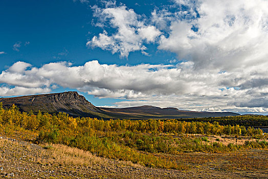 秋天,国家公园,北博滕省,拉普兰,瑞典,欧洲