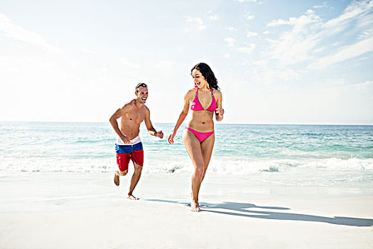 幸福伴侣,跑,海滩,晴天