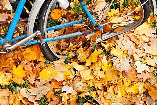破损,轮子,自行车,秋叶
