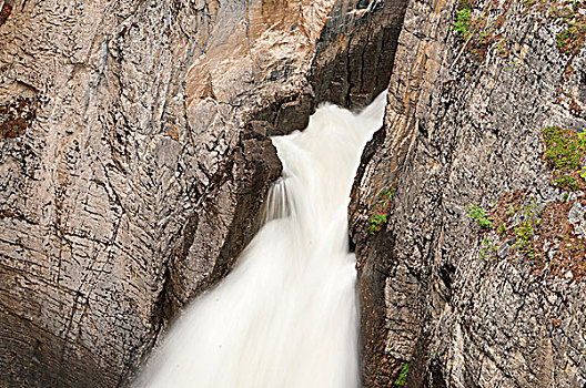 水,流动,石头,碧玉国家公园,艾伯塔省,加拿大