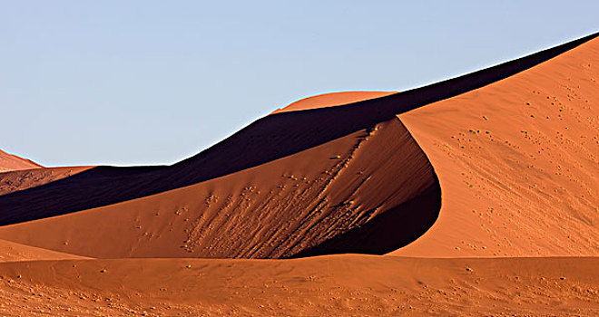 沙丘,公园,索苏维来地区,纳米比沙漠,纳米比亚