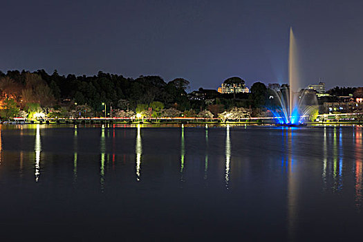 夜景,湖