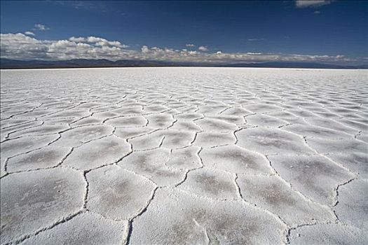 盐,建筑,盐湖,阿根廷,南美