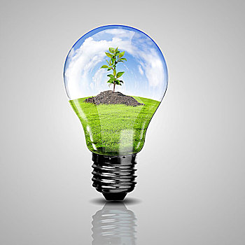 清洁能源,象征,环境,概念,电灯泡