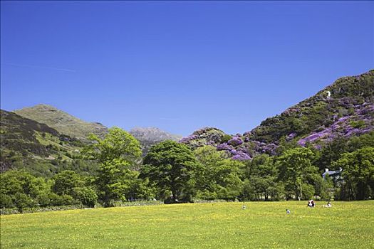 威尔士,格温内思郡,雪墩国家公园,地点,山,风景