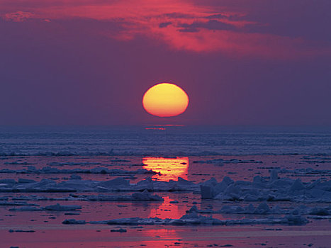 海洋,冰,日落