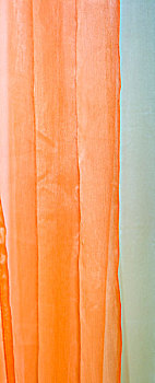 橙色,帘