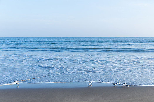 海景