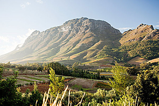 斯坦陵布什,山,高度,南非