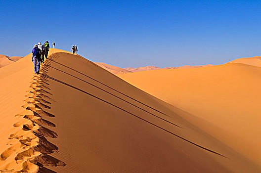 远足,沙丘,阿尔及利亚,撒哈拉沙漠,北非