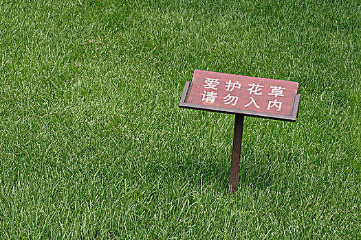草,签到,中国,中山,公园,北京