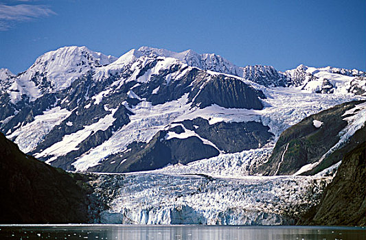 冰河,峡湾,威廉王子湾,阿拉斯加