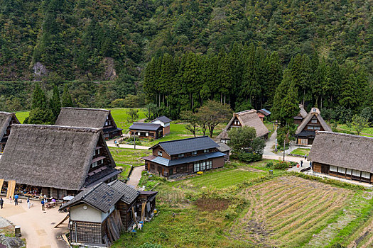 老,房子,日本