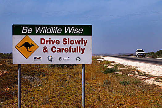 慢,道路,标识,西澳大利亚州,澳大利亚