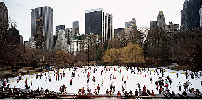 滑冰,中央公园,纽约,美国