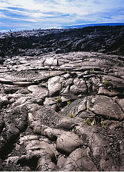 火山岩,夏威夷,火山国家公园,美国