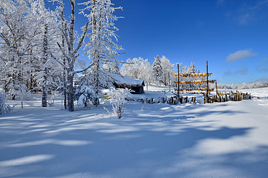 林海雪原中的小木屋