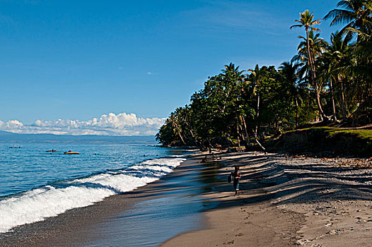 海滩,岛屿,所罗门群岛,太平洋