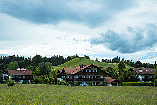 瑞士森林草地