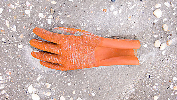 手套,沙滩,德国,北海