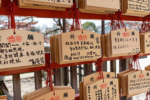 特写,木质,祈祷,信息板,日本
