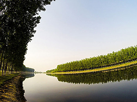 龙凤河