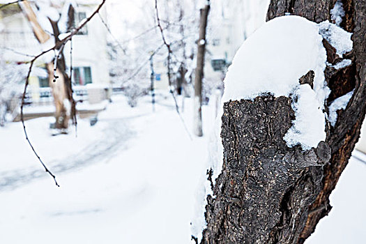 小区雪景