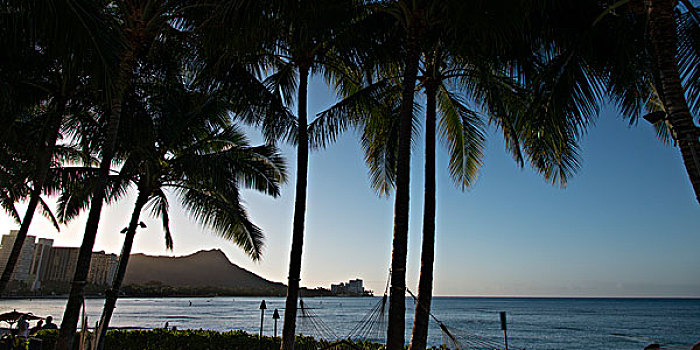 棕榈树,海滩,怀基基海滩,檀香山,瓦胡岛,夏威夷,美国