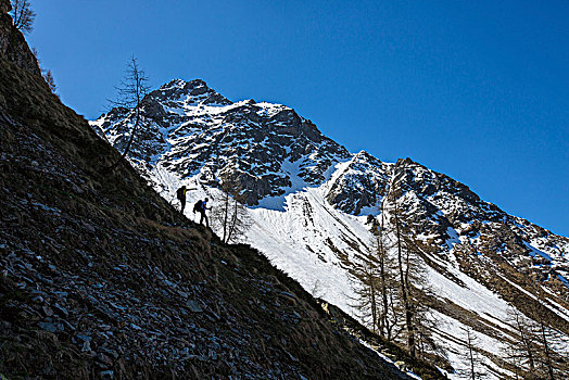 远足,雪,顶峰,背景,博斯齐亚格,山谷,格劳宾登,瑞士